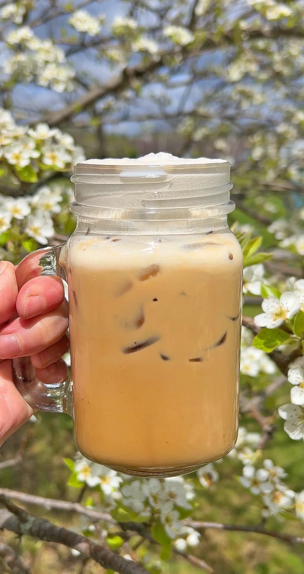 A Vermont creemee latte